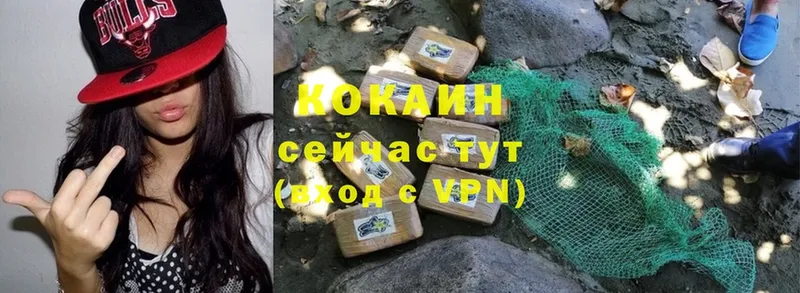 Cocaine Колумбийский  ОМГ ОМГ ТОР  Богородицк  где найти наркотики 